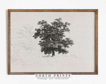 Antique Neutral Tree Sketch | Vintage Nature Drawing Digital PRINTABLE #519