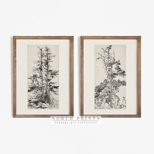 Antique Tree Sketch Print SET | Neutral Rustic Cabin Decor | North Prints Digital PRINTABLE | S2-60