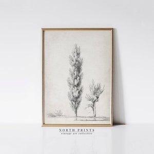 Minimalist Antique Tree Sketch Art | Neutral Landscape Drawing Wall Art | PRINTABLE Digital | SK208