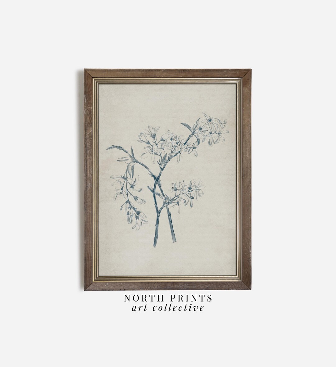 Blue Flower Sketch Art: Vintage Botanical Wall Art Print (digital ...