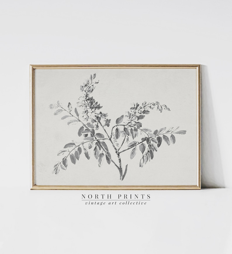 May include: A black and white botanical illustration of a flowering branch with leaves. The image is framed in a light wood frame and has the text "NORTH PRINTS vintage art collective" at the bottom.