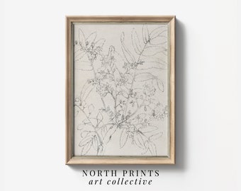 Neutral Vintage Botanical Sketch Art PRINTABLE | Floral Drawing Wall Art DIGITAL Download Print | North Prints SK-354