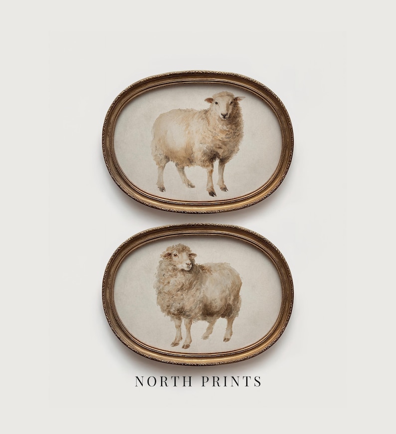 May include: Two framed oval prints featuring watercolor paintings of sheep. The sheep are depicted in shades of beige and brown, set against a neutral background. The frames are gold-toned with ornate detailing. The text "NORTH PRINTS" is at the bottom.