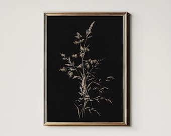 Dark Botanical Print: Vintage Autumn Grass Art (Digital Download Printable) 4-32