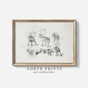 Vintage Christmas Reindeer Sketch Art | Winter Farmhouse Holiday Decor  | Digital PRINTABLE | SK-232