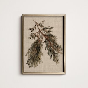 Nordic Evergreen Wall Art, Heritage Winter Botanical PRINTABLE, Digital Download North Prints W1-07