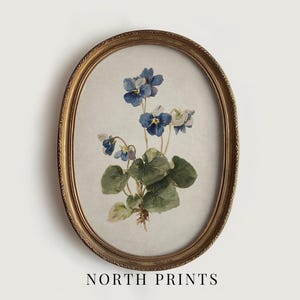 May include: An oval framed print featuring a watercolor painting of blue and white violets with green leaves. The frame is gold-colored with a detailed edge. The text "NORTH PRINTS" is at the bottom.