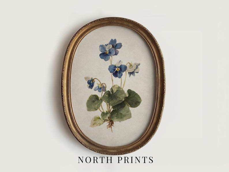 K&ouml;nnte beinhalten: Ein oval gerahmter Druck mit einem Aquarell von blau-wei&szlig;en Veilchen mit gr&uuml;nen Bl&auml;ttern. Der Rahmen ist goldfarben mit einem detaillierten Rand. Der Text "NORTH PRINTS" befindet sich unten.
