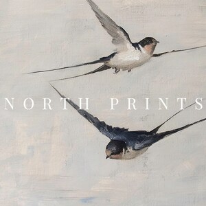 Puede incluir: Dos golondrinas blancas y negras en vuelo sobre un fondo gris claro. El texto "NORTH PRINTS" est&aacute; impreso en blanco debajo de las aves.