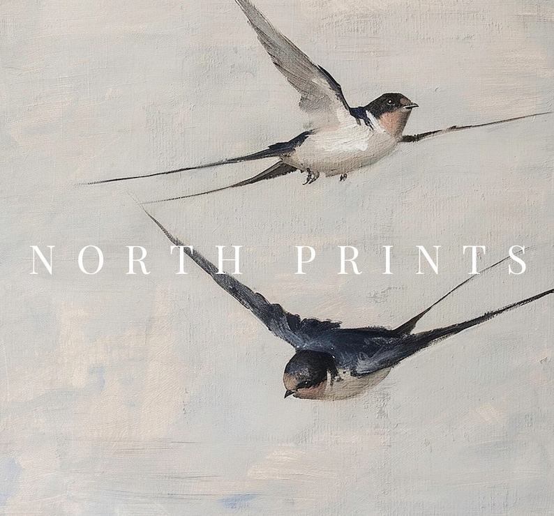 Puede incluir: Dos golondrinas blancas y negras en vuelo sobre un fondo gris claro. El texto "NORTH PRINTS" est&aacute; impreso en blanco debajo de las aves.