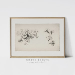 May include: A black and white vintage botanical illustration of flowers in a frame with a gold border. The text "NORTH PRINTS vintage art collective" is below the frame.