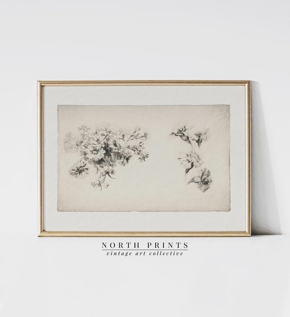Vintage Flower Sketch | Neutral Flower Drawing Print | North Prints | Downloadable Digital PRINTABLE | 274