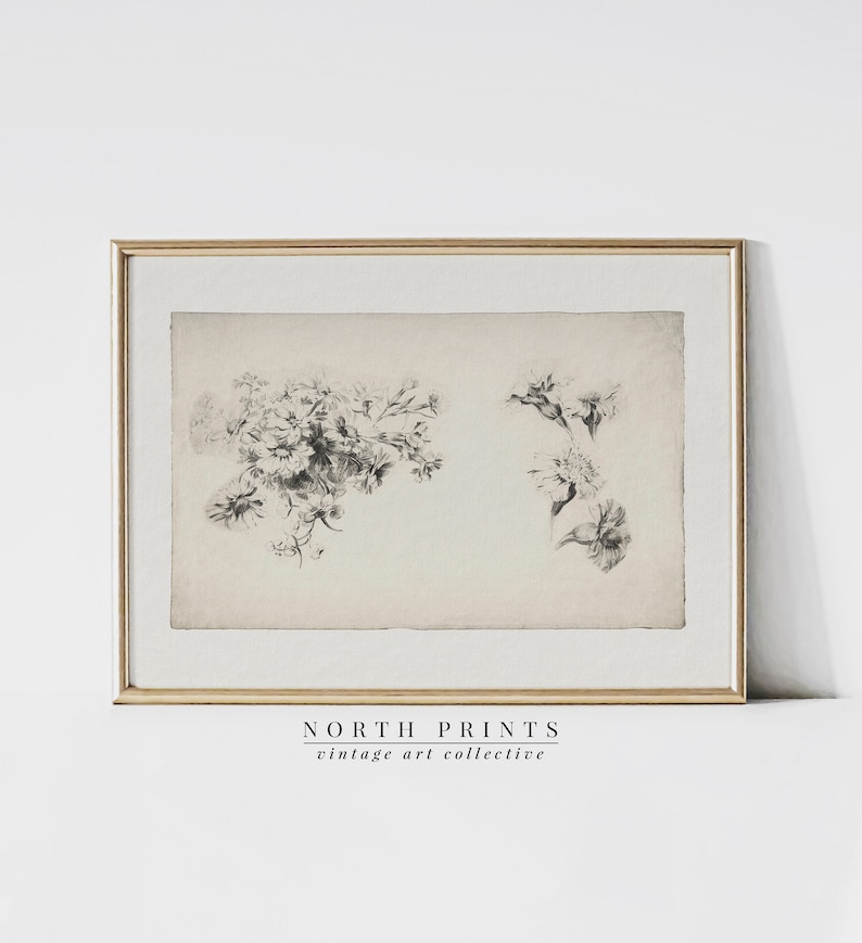 May include: A black and white vintage botanical illustration of flowers in a frame with a gold border. The text "NORTH PRINTS vintage art collective" is below the frame.
