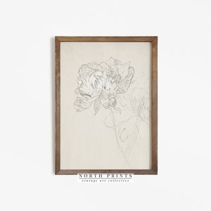 Flower Sketch | Vintage Botanical Line Drawing | Floral Art PRINTABLE North Prints | 77