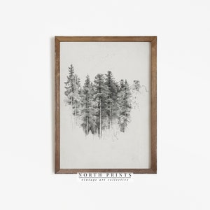 Rustic Neutral Tree Sketch, Woodland Vintage Pine Tree Drawing Print, Digital PRINTABLE North Prints, North Prints Art 804