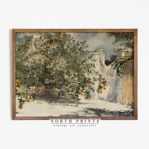 Spanish Kitchen Decor | Orange Tree Vintage Watercolor Painting | PRINTABLE Downloadable Art | 636