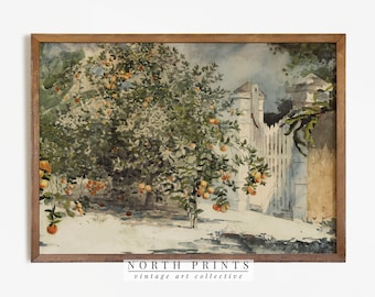 Spanish Kitchen Decor | Orange Tree Vintage Watercolor Painting | PRINTABLE Downloadable Art | 636