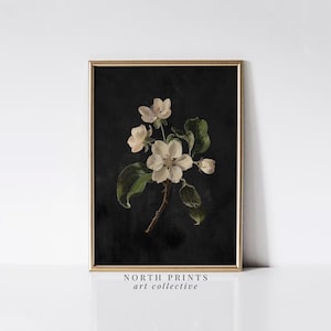 Dunkle botanische Apfelblüte Gemälde, stimmungsvolle Blumen Stillleben Wand Kunst Dekor, Statement Art Herunterladbare DRUCKBARE Norddrucke 8-41