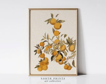 Kitchen Farmhouse Wall Art Print | Orange Fruit Painting | Vintage Art PRINTABLE Digital Download Art North Prints | 6-30