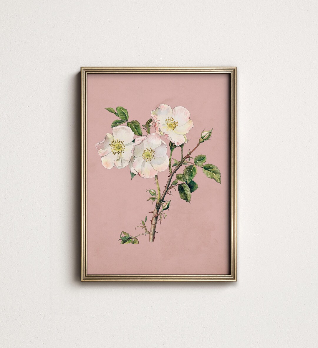 Blush Pink Botanical Art Print, Cottagecore Floral Wall Decor PRINTABLE ...
