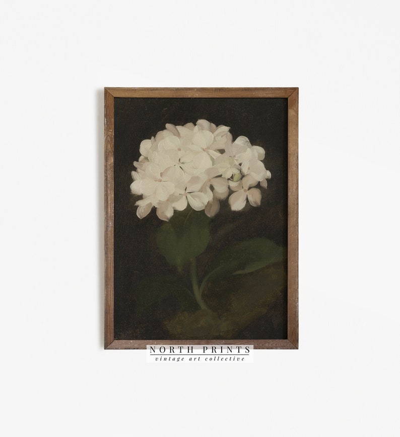 Hydrangea Painting | Vintage Flower Print | Antique Botanical Art PRINTABLE | 326 