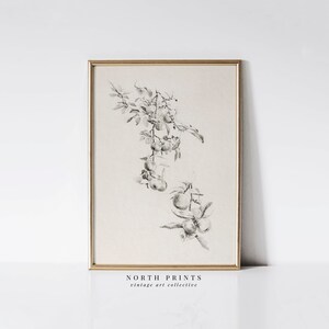 May include: A black and white pencil drawing of a branch of fruit with leaves. The drawing is framed in a gold frame and is on a white background. The text "NORTH PRINTS vintage art collective" is below the frame.