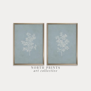 Pode incluir: Duas impressões botânicas emolduradas. Cada impressão apresenta um desenho floral branco sobre um fundo azul claro. As molduras são douradas. O texto "NORTH PRINTS art collective" é impresso na parte inferior da imagem.