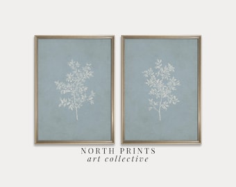 May include: Two framed botanical prints. Each print features a white floral design on a light blue background. The frames are gold-colored. The text "NORTH PRINTS art collective" is printed at the bottom of the image.