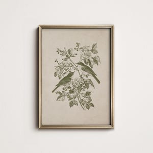May include: Framed botanical print featuring two birds perched on a flowering branch. The artwork is rendered in shades of green on a beige background, encased in a gold-colored frame. A classic nature-themed wall art piece.