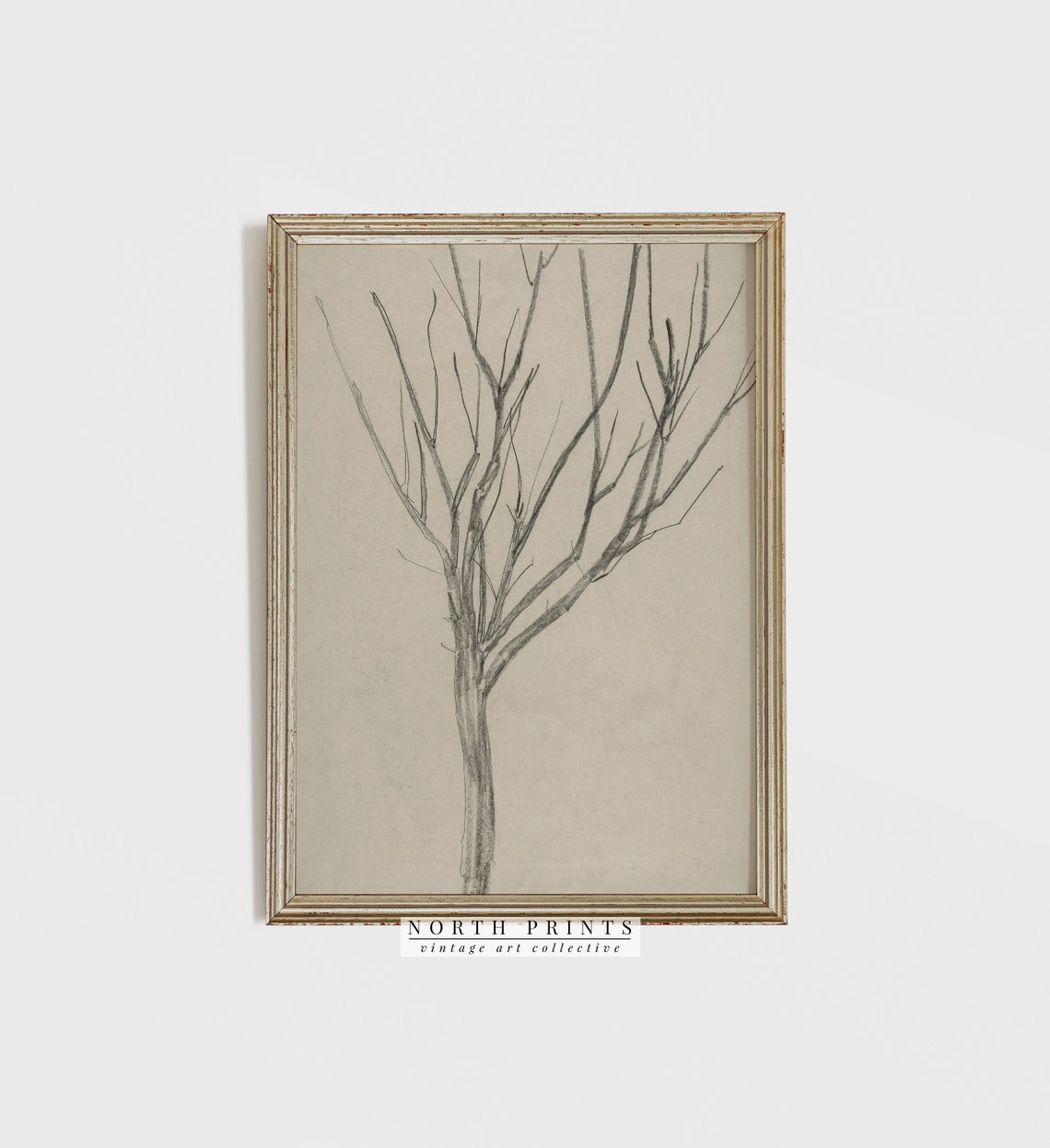 Neutral Rustic Tree Drawing  Vintage Botanical Art Print