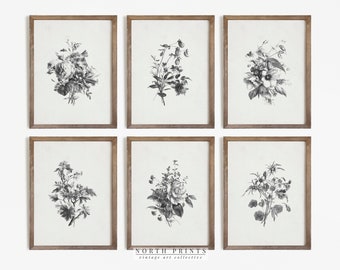 Vintage Botanical Gallery Wall Print SET | Neutral Flower Drawing Prints | Digital PRINTABLE | S6-7