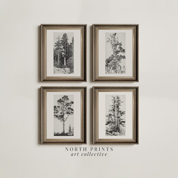 Vintage Baum Skizze Print Set: Neutrale Galerie Wand Kunst (Digital Printable) S4-5