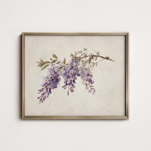 May include: A framed print featuring a watercolor illustration of wisteria blossoms. The artwork showcases cascading purple flowers and green leaves against a neutral background, enclosed in a gold-colored frame.