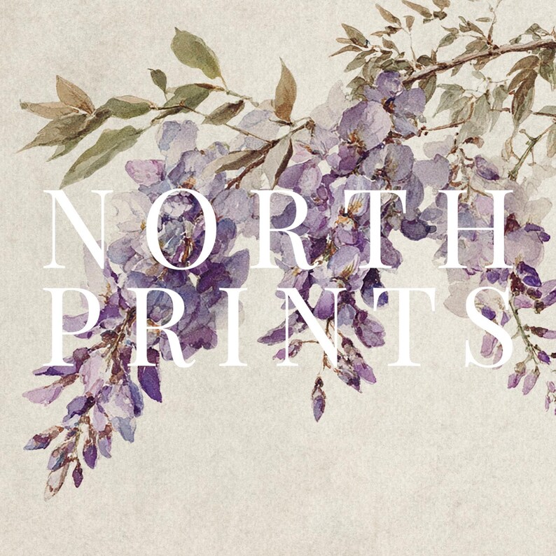 May include: Watercolor illustration of purple wisteria flowers and green leaves. The text "NORTH PRINTS" is overlaid in white. The artwork has a soft, vintage aesthetic, perfect for wall art or home decor.