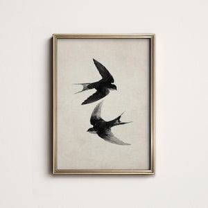May include: A framed art print showing two black swallows in flight against a neutral backdrop. The birds are illustrated with detailed wings and feathers, set within a gold-coloured frame. A classic, elegant piece for home decor.