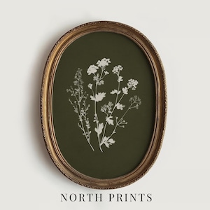 May include: An oval framed print featuring a botanical illustration of white wildflowers on a dark olive green background. The frame is gold with an ornate design. The text "NORTH PRINTS" is printed at the bottom of the frame.