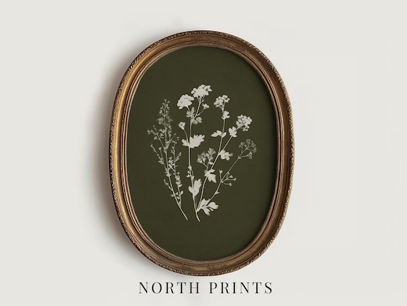 Apothecary Kitchen Botanical Wall Decor, Olive Green Art PRINTABLE Digital Download North Prints 11-23