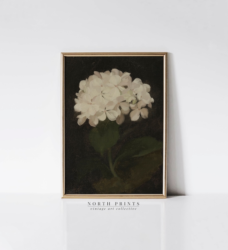 May include: A vintage botanical illustration of a white hydrangea flower against a dark background. The image is framed in a gold frame and has the text "NORTH PRINTS vintage art collective" at the bottom.