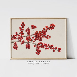 Vintage Winter Berry Branch Art Print | Country Farmhouse Holiday Wall Decor PRINTABLE Downloadable Art Print | 1243