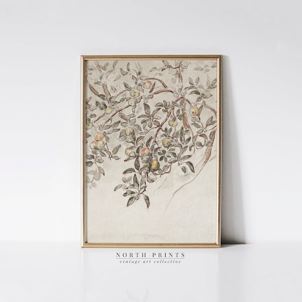 Vintage Apple Tree Print | Neutral Farmhouse Wall Art | PRINTABLE Download Country Sketch | 1155
