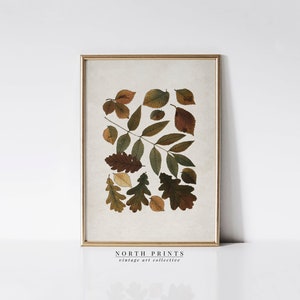 Antique Autumn Botanical Leaf Wall Art PRINTABLE | Dining Room Fall Wall Decor | Digital Download | 5-145