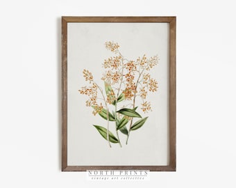 Antique Botanical Print | Vintage Flower Painting | Rustic Farmhouse Decor PRINTABLE | 793