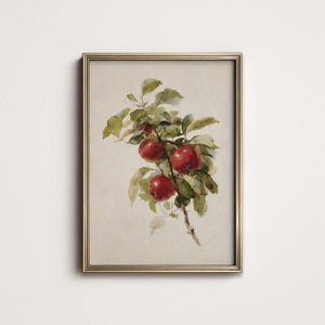 Peut inclure: Une impression encadr&eacute;e &agrave; l'aquarelle repr&eacute;sentant une branche de pommes rouges avec des feuilles vertes. L'&oelig;uvre d'art a une esth&eacute;tique vintage, avec un cadre dor&eacute;. Les pommes sont d'un rouge vif, contrastant avec le fond.