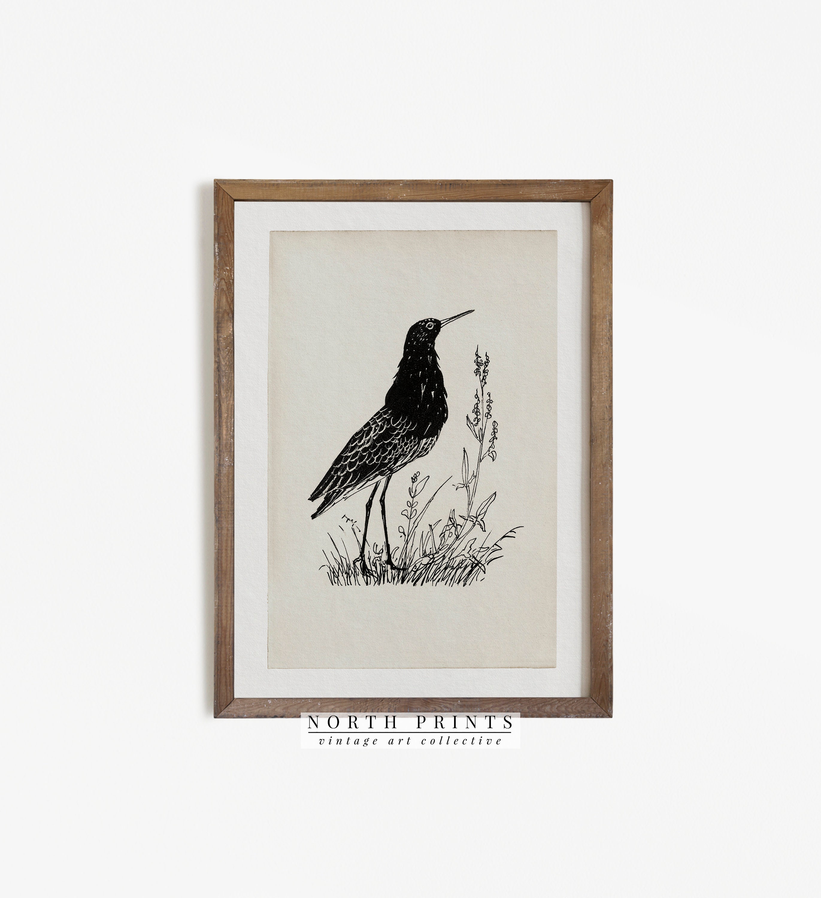 Impressão de pássaro vintage | Ilustração de pássaro antigo | Esboço minimalista IMPRIMÍVEL DIGITAL #247