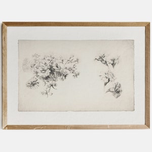 May include: A framed black and white botanical illustration of two different types of flowers. The flowers are drawn in a delicate style with fine lines.