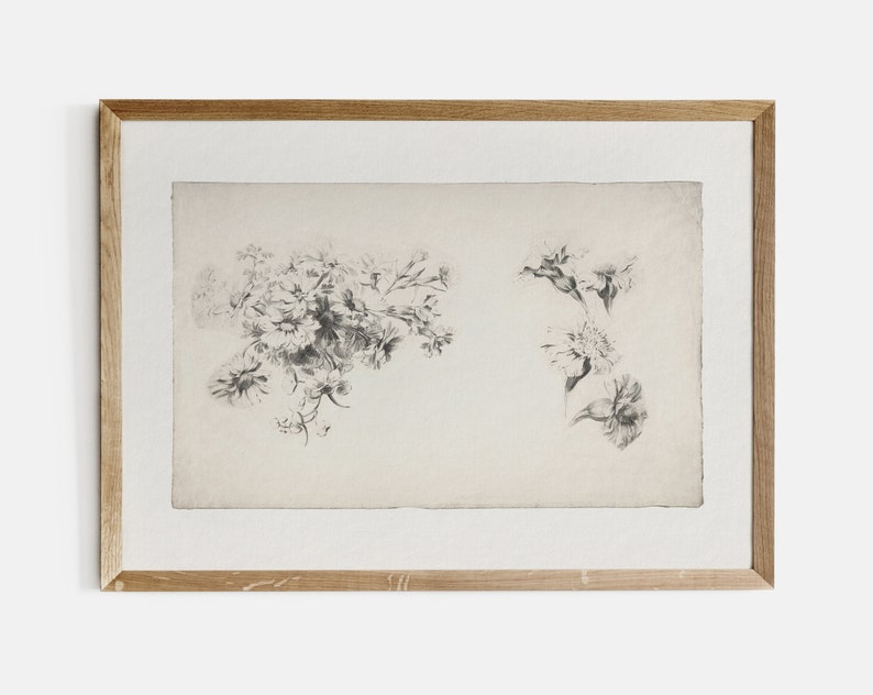 May include: A framed black and white botanical illustration of two different types of flowers. The flowers are drawn in a delicate style with fine lines.