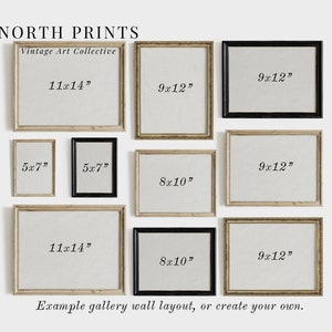 Neutral Living Room Gallery Wall Art Set Vintage Sketch Prints Etching Home Decor PRINTABLE S54 image 3