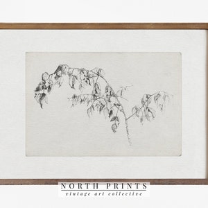 Vintage Sketch Art | Antique Branch Drawing | Nature Print Digital PRINTABLE #455