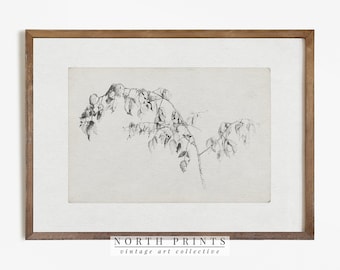 Puede incluir: Un dibujo a lápiz en blanco y negro de una rama de árbol desnuda con hojas. El dibujo está enmarcado en un marco de madera marrón claro. La imagen incluye el texto "NORTH PRINTS vintage art collective".