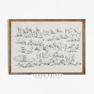 Antique Sheep Drawing | Neutral Farmhouse Nursery Art | Kids Room Decor Digital PRINTABLE | 1038